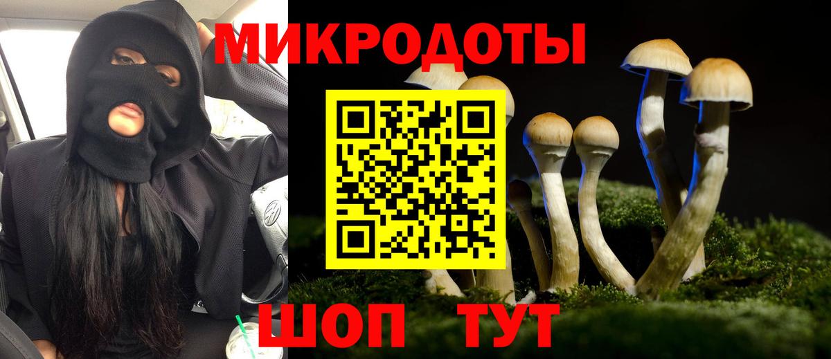 Галлюциногенные грибы Psilocybine cubensis Краснознаменск